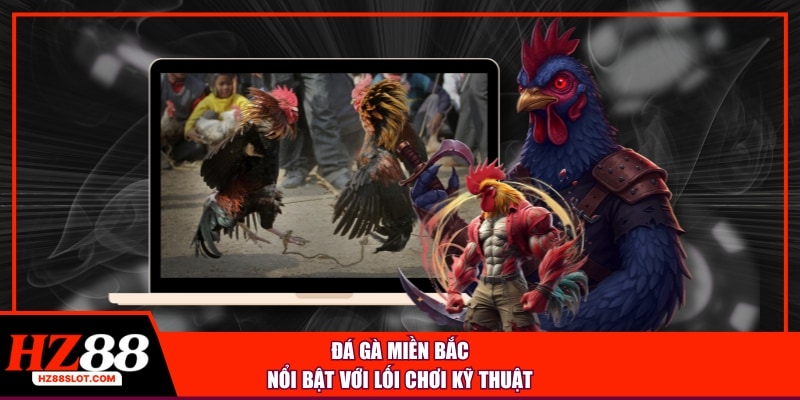 Đá gà miền Bắc nổi bật với lối chơi kỹ thuật