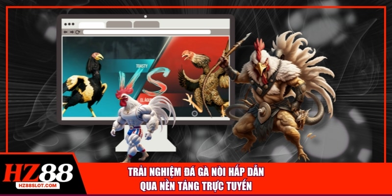 Trải nghiệm đá gà nòi hấp dẫn qua nền tảng trực tuyến